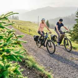 Flyer Goroc3 Trekking Emotion