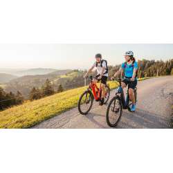 Photo Emotion Trekking Flyer Gotour6 eBike