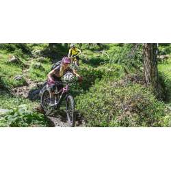 eBike FLYER Uproc3 Montagne Emotion 4
