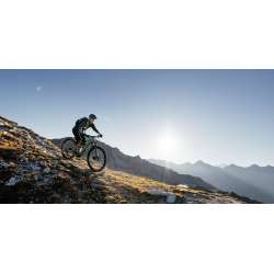 eBike FLYER Uproc6 Montagne Emotion 4