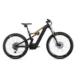 VTT ÉLECTRIQUE 2021 FLYER E-Bike Uproc6 9.50 Noir/Or